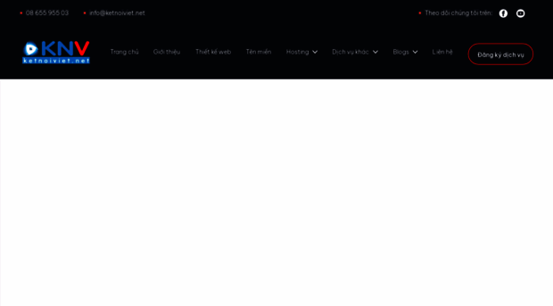 ketnoiviet.net
