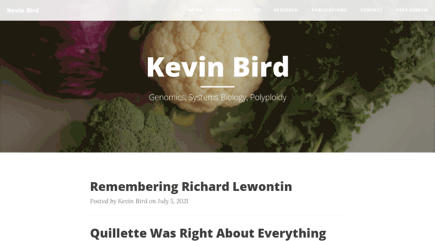 kevinabird.github.io