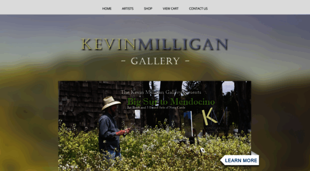 kevinmilligangallery.com