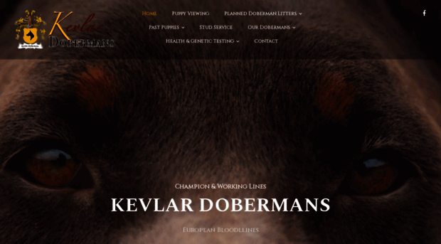 kevlardobermans.com