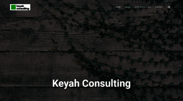 keyahconsulting.com