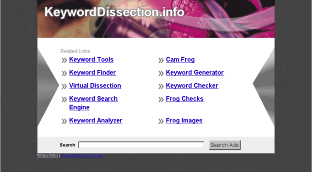 keyworddissection.info