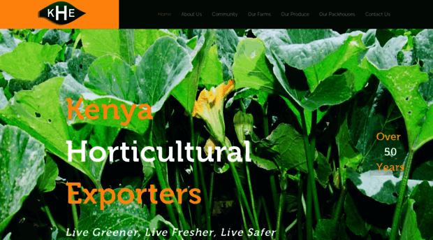 khekenya.com