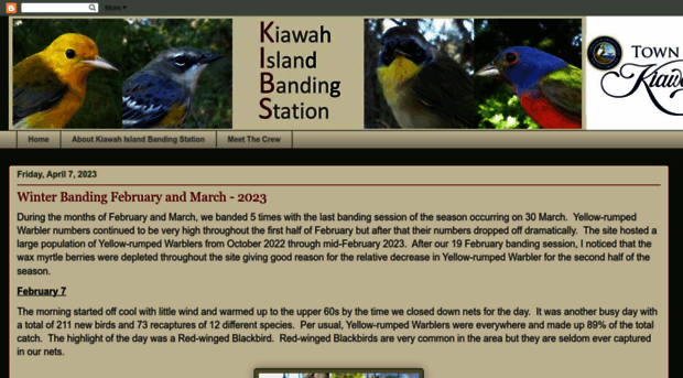 kiawahislandbanding.blogspot.com