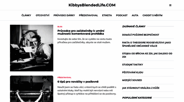 kibbysblendedlife.com