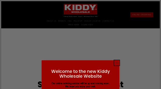 kiddywholesale.co.uk