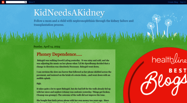 kidneedsakidney.blogspot.com