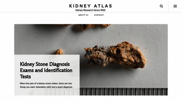 kidneyatlas.org