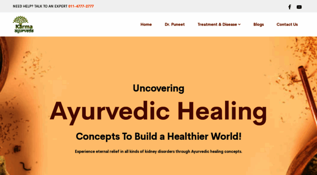 kidneytreatmentinayurveda.com