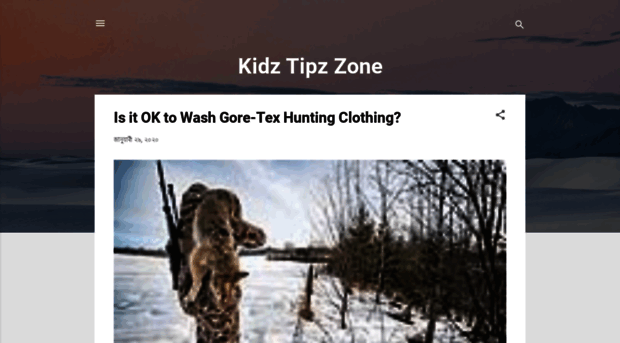 kidztipzzone.blogspot.com