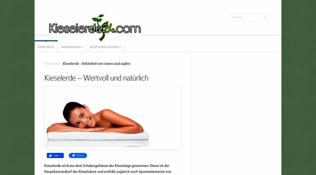 kieselerde24.com