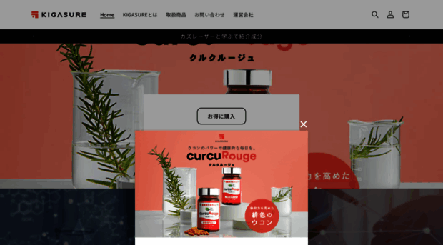 kigasure.com
