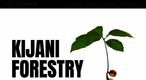 kijaniforestry.com