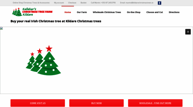 kildarechristmastrees.ie