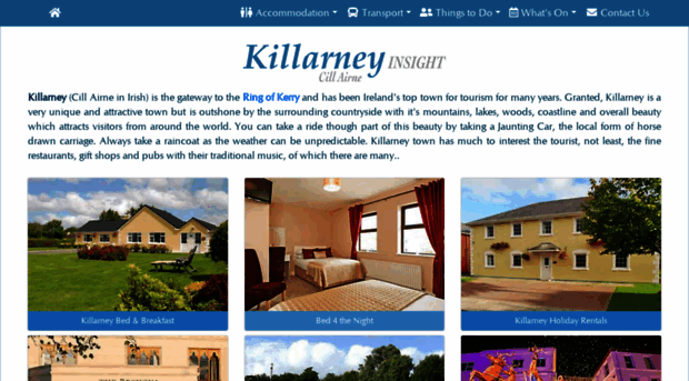 killarney-insight.com