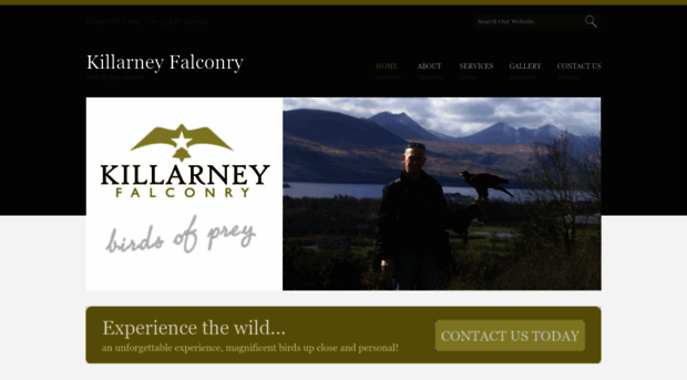 killarneyfalconry.com