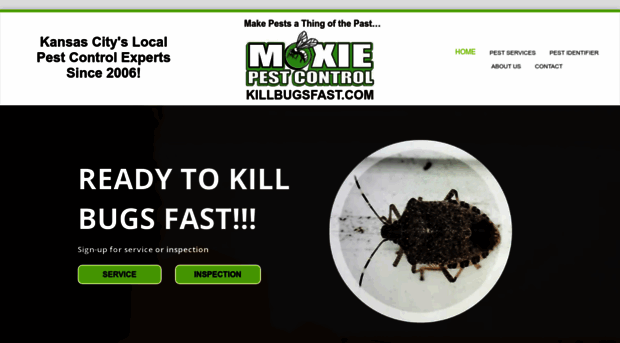 killbugsfast.com