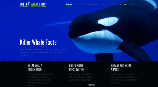 killer-whale.org