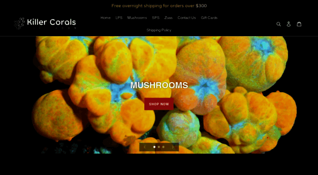 killercorals.com