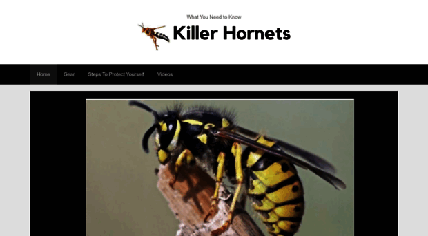 killerhornets.org