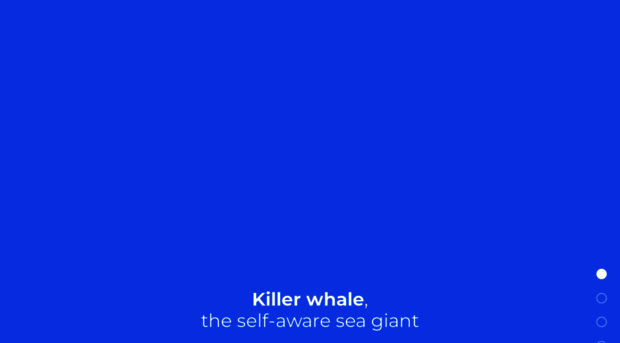 killerwhale.webflow.io