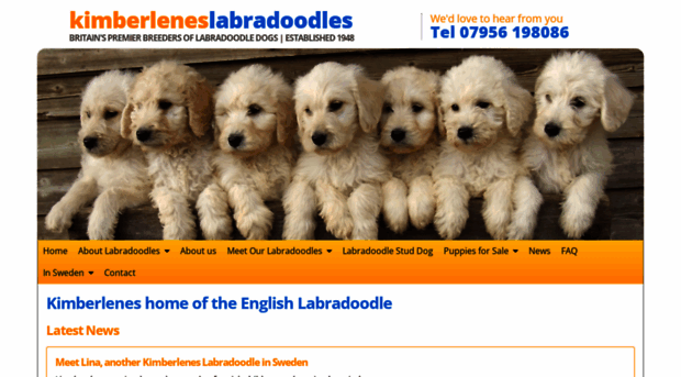 kimberlenes-labradoodles.co.uk