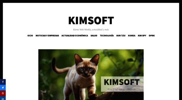 kimsoft.com