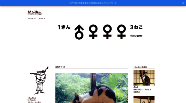 kinegatte.exblog.jp
