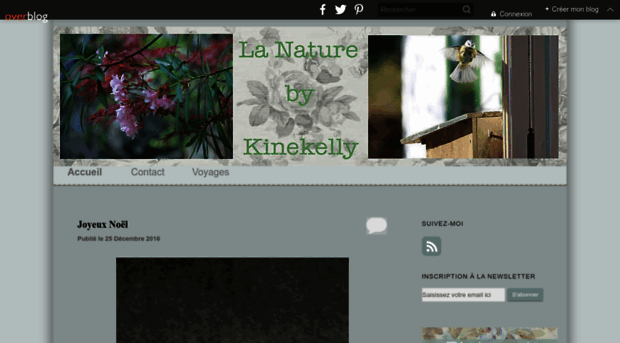 kinekelly.over-blog.com