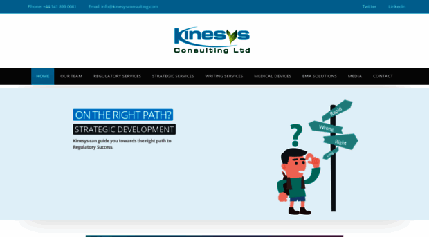 kinesysconsulting.com