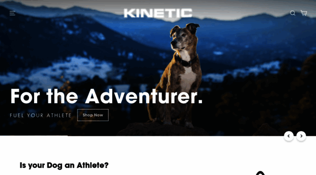 kineticdogfood.com