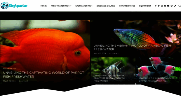 kingaquarium.com