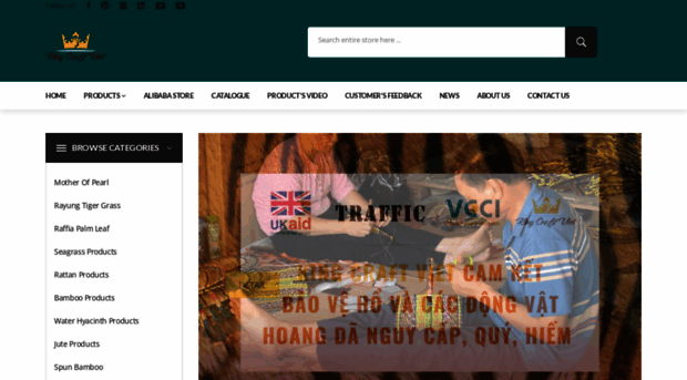 kingcraftviet.com
