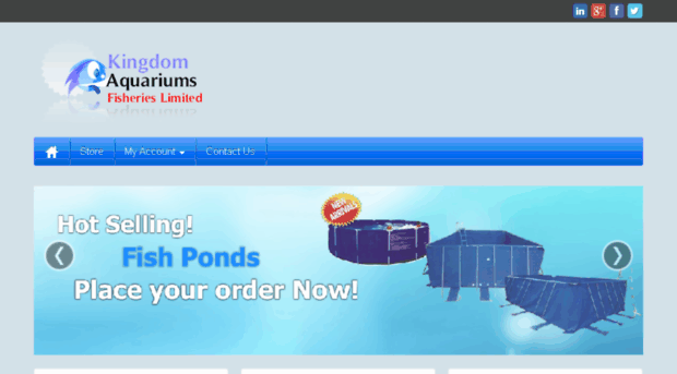 kingdomaquariums.com