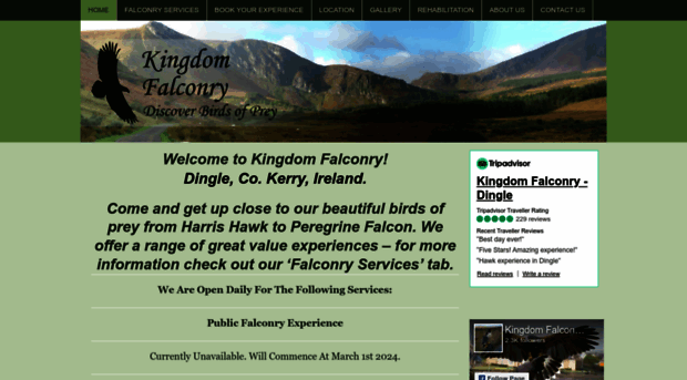 kingdomfalconry.com