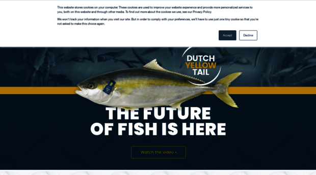 kingfish-zeeland.com