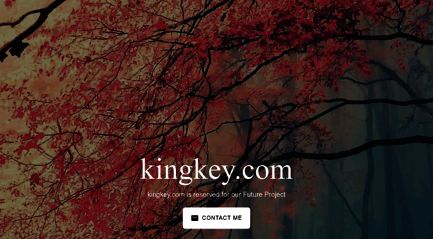 kingkey.com