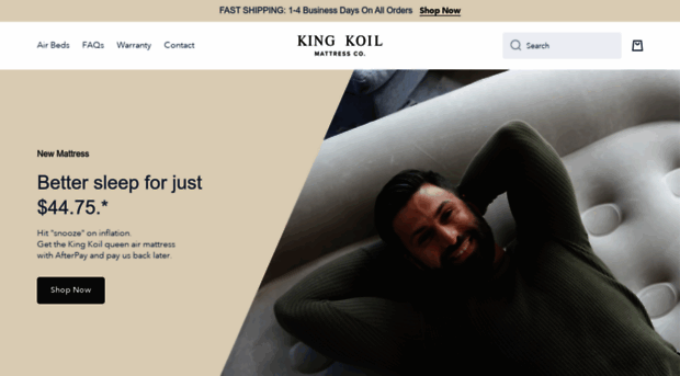 kingkoilairbeds.com