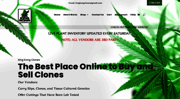 kingkongclones.com