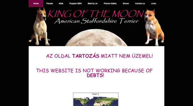 kingofthemoon.yolasite.com