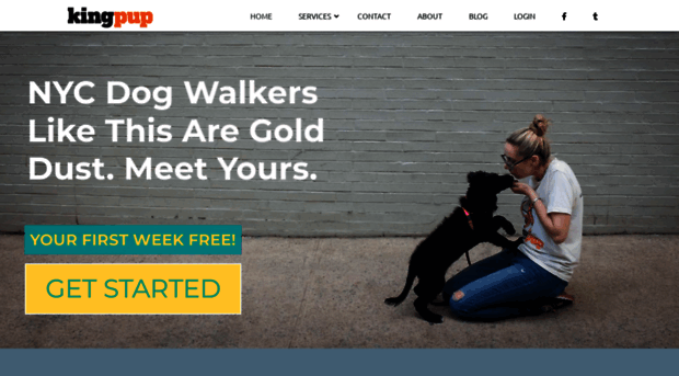 kingpupdogwalkers.com