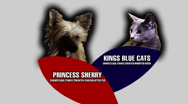 kingsbluecats.eu