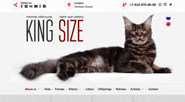 kingsize-cat.ru