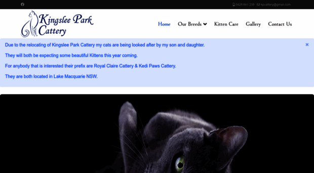 kingsleeparkcattery.com.au