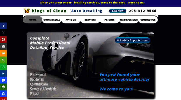 kingsofcleanllc.com