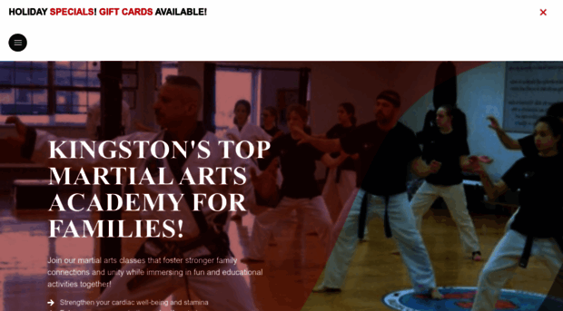 kingstonnymartialarts.com