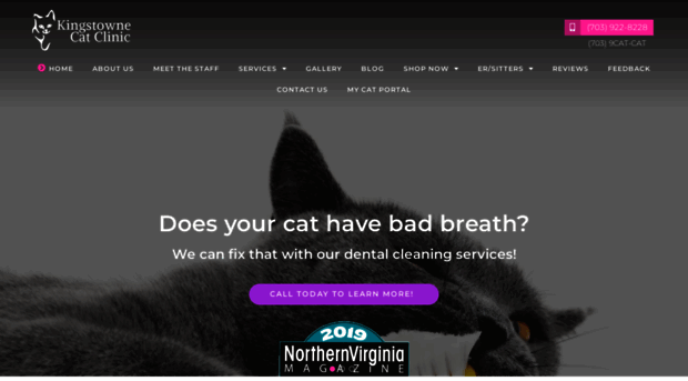 kingstownecatclinic.com