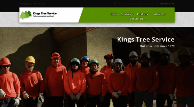 kingstreeserviceaz.com