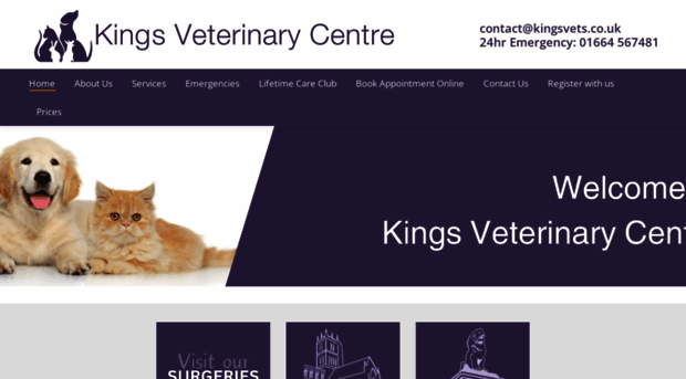 kingsvetcentre.com