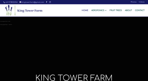 kingtowerfarm.com